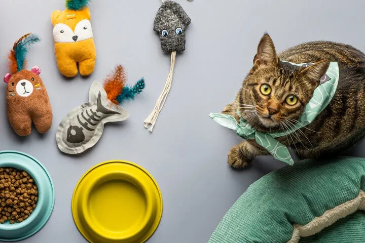 Los gatos pisan fuerte: productos clave para destacarte en este segmento