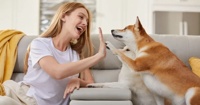 ¿Hablás con tu mascota más de lo que pensás?