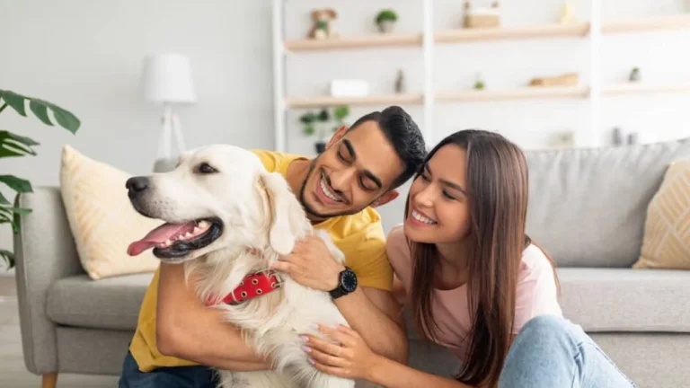 Aumentan las mascotas, aumentan las oportunidades: ¿estás preparado?
