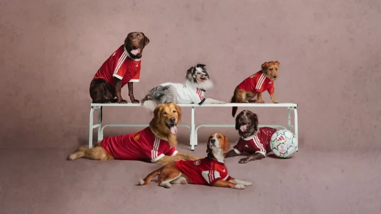 ¿Tu mascota también puede ser hincha? adidas tiene una colección para perros y gatos