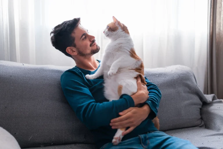 Crecen las consultas por control de peso en gatos: qué buscan los tutores