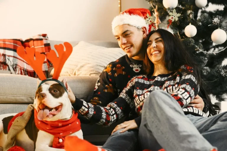 Cómo las mascotas ayudan a tu bienestar emocional en fiestas
