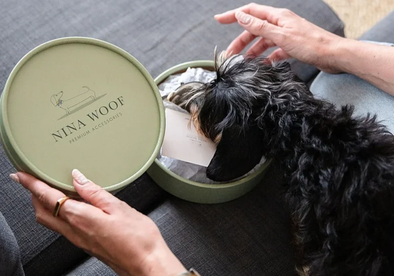 Nina Woof: la nueva marca top de accesorios veganos para perros