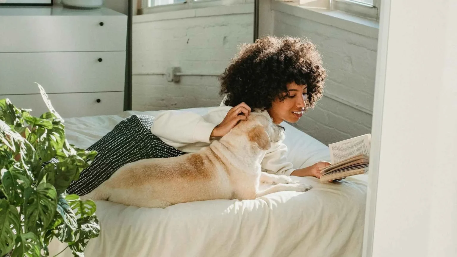 7 señales que tu mascota te está diciendo (pero quizás no sabés interpretar)