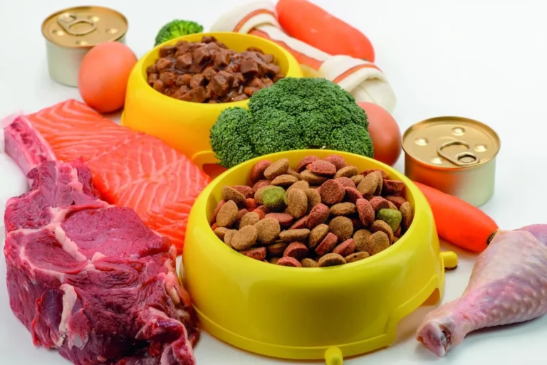 Dietas alternativas y plant-based: ¿tendencia o nueva categoría?