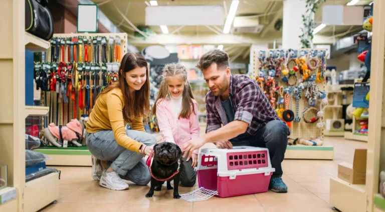 Exhibiciones que venden: cómo mejorar la experiencia en tu tienda