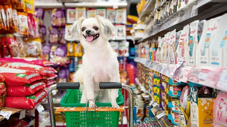 rade marketing pet para 2026: cómo aumentar ventas y experiencia en tienda